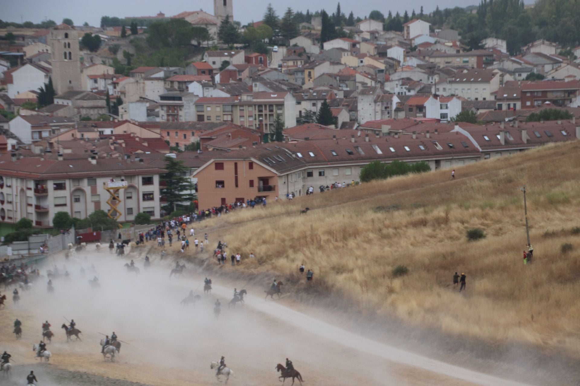 Fotos del quinto y último encierro de Cuéllar (1 de 3)