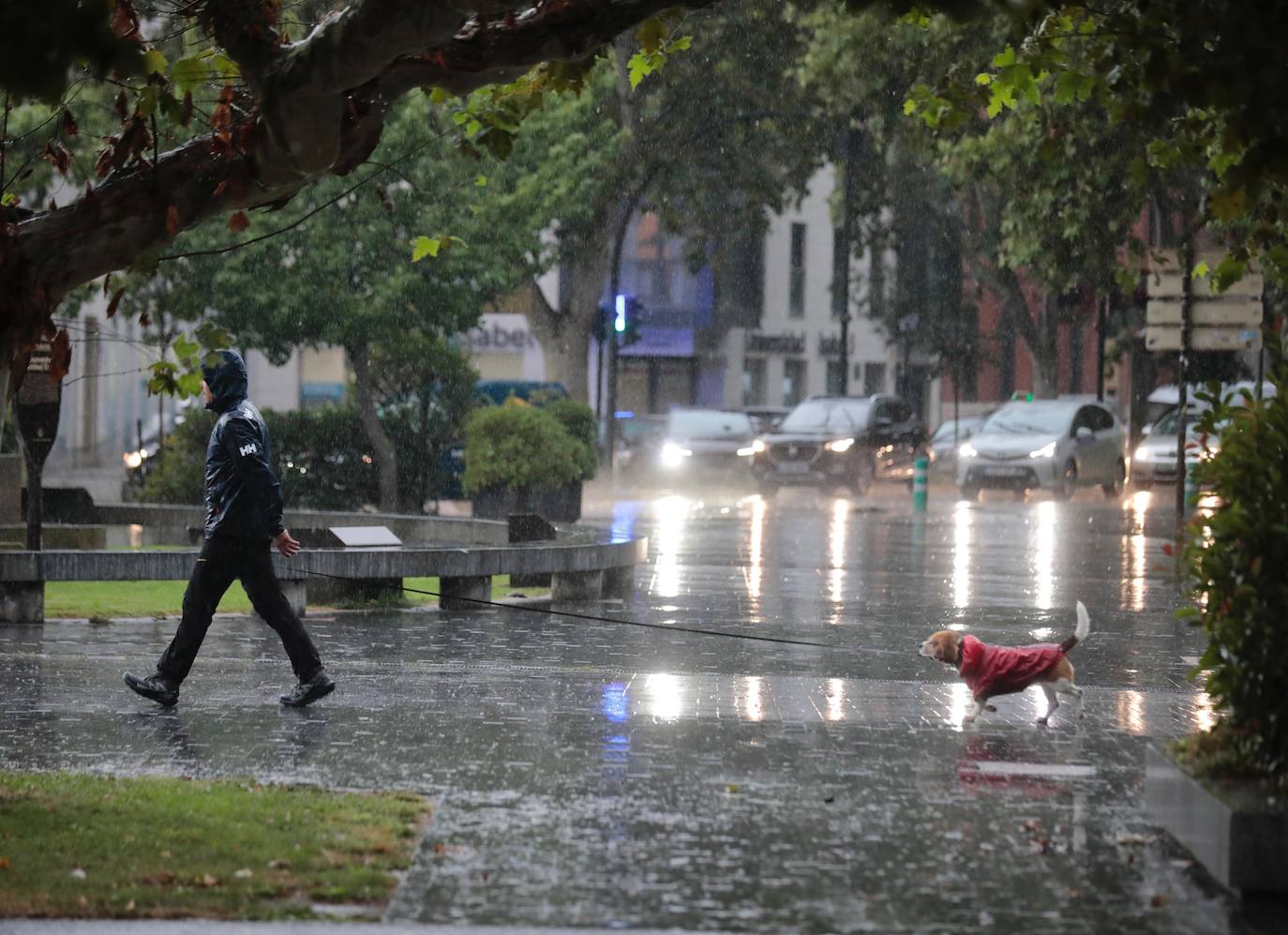 Un hombre pasea su perro bajo la lluvia esta mañana en la plaza Colón.