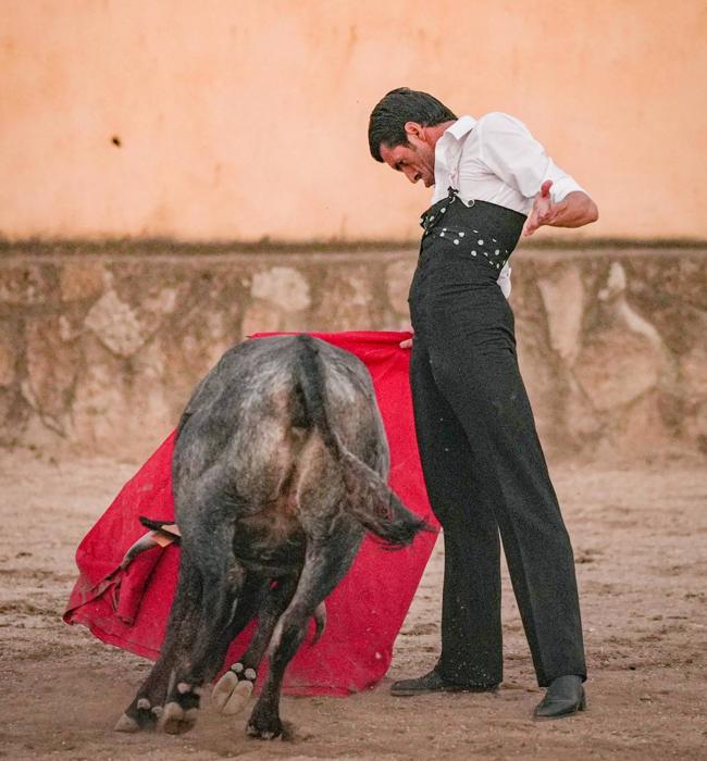 Emilio de Justo torea una de las vacas en el tentadero.