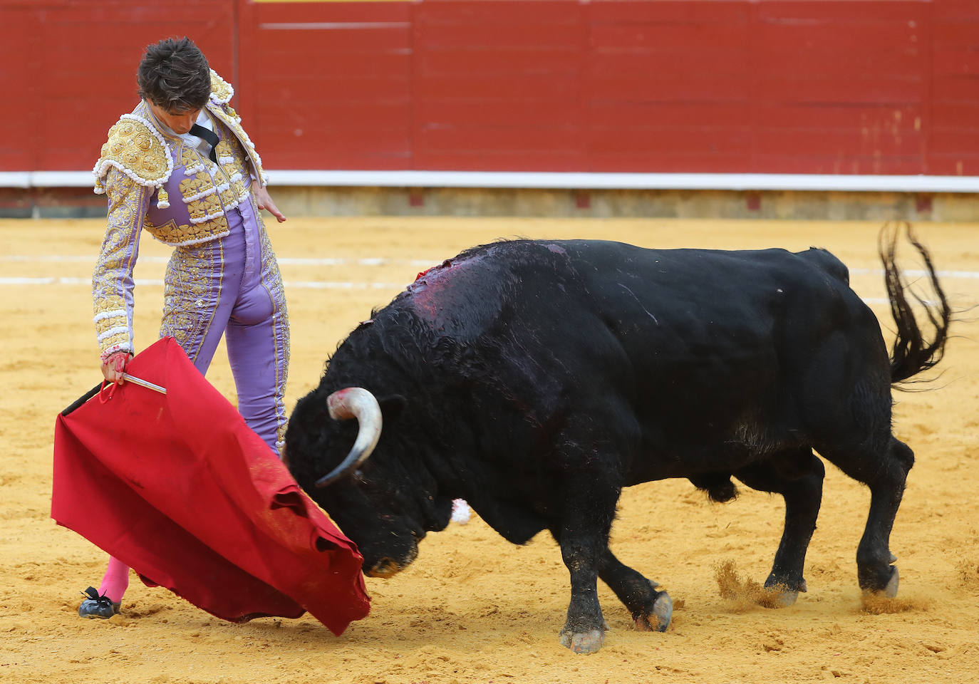 Segunda de abono con indulto en Palencia