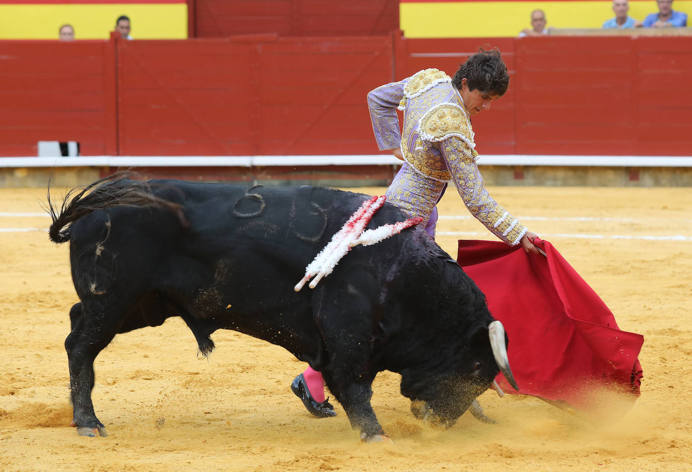 Segunda de abono con indulto en Palencia