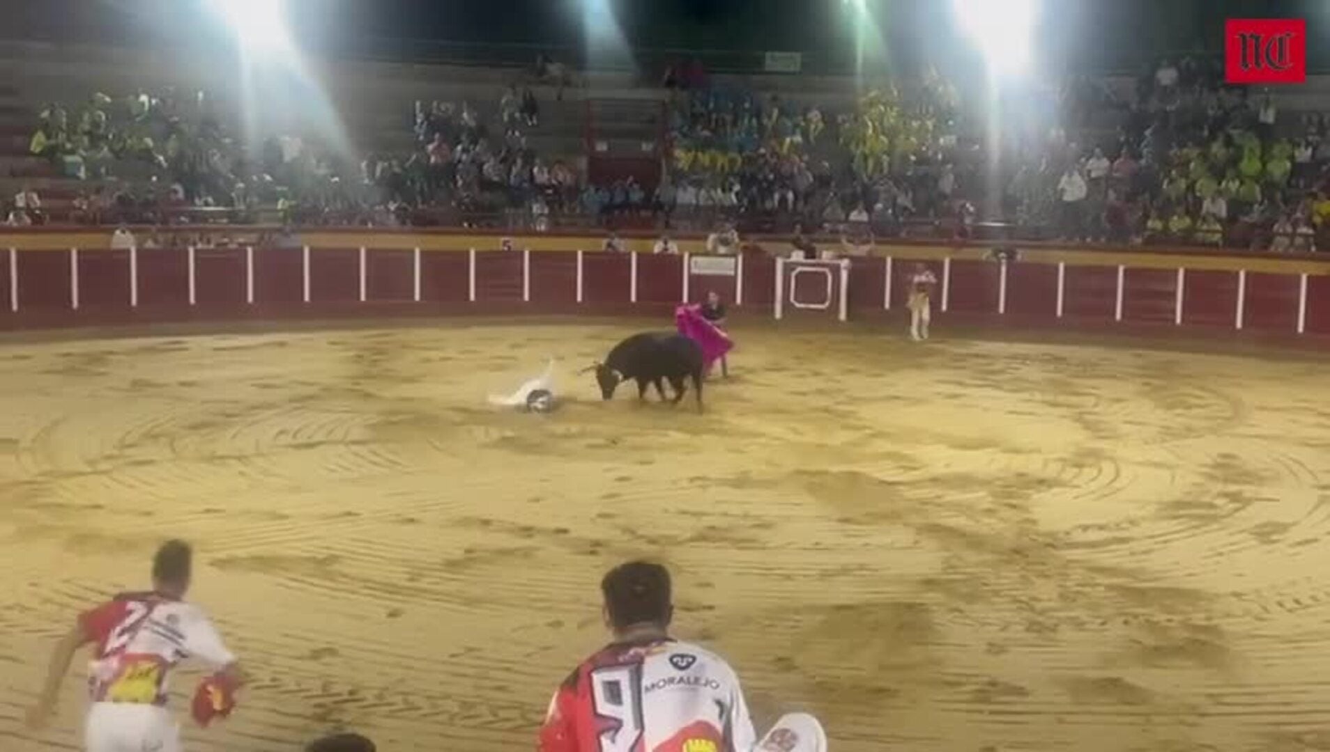 El salmantino Samuel López, herido grave en el concurso de Fresno el Viejo