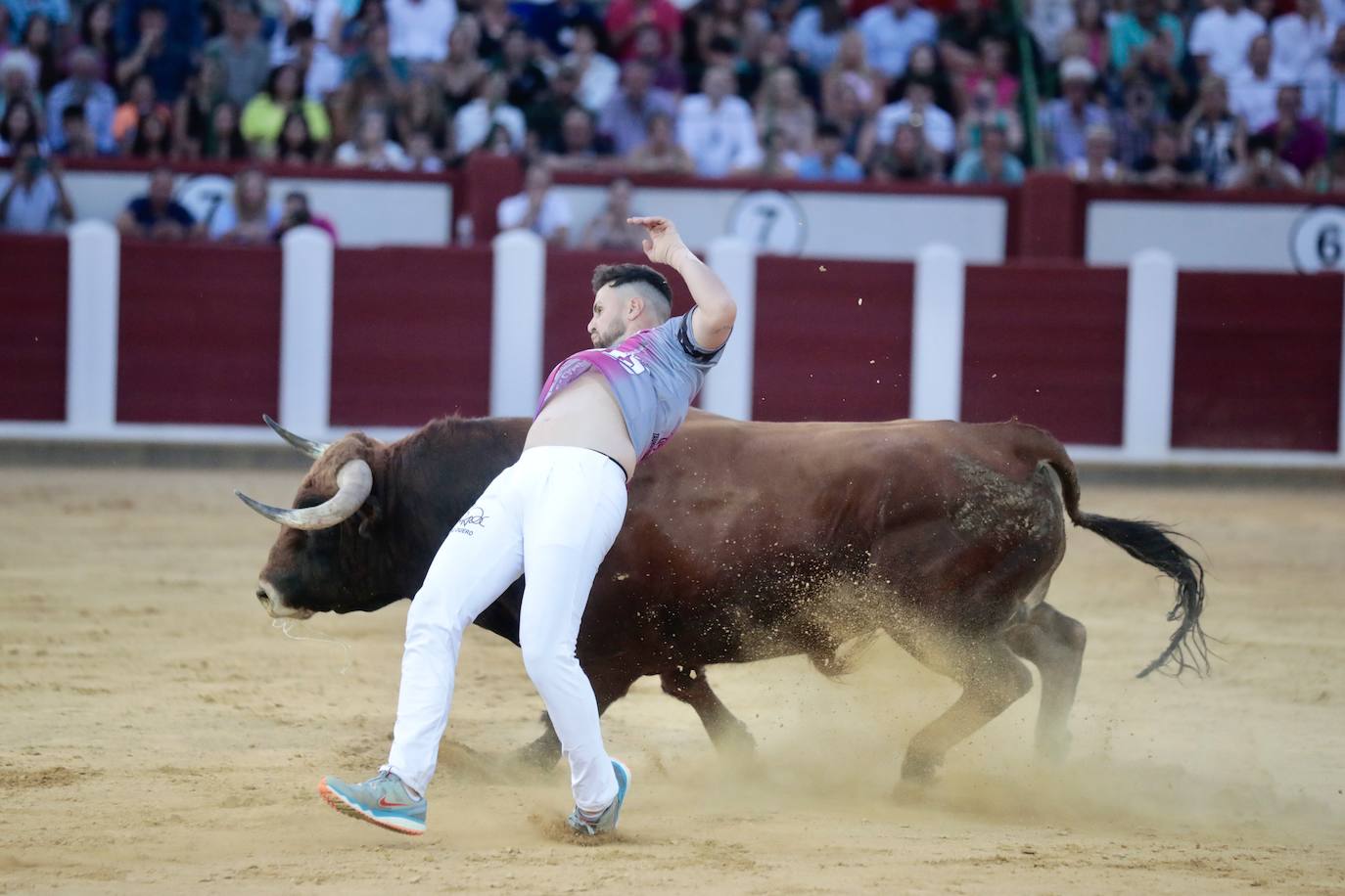 El Concurso de Cortes, en imágenes