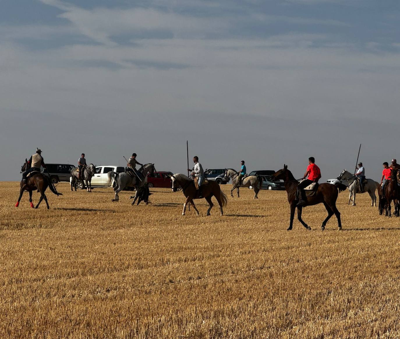 El encierro por el campo de Villalón, en imágenes