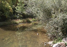 Río Eresma de Segovia.