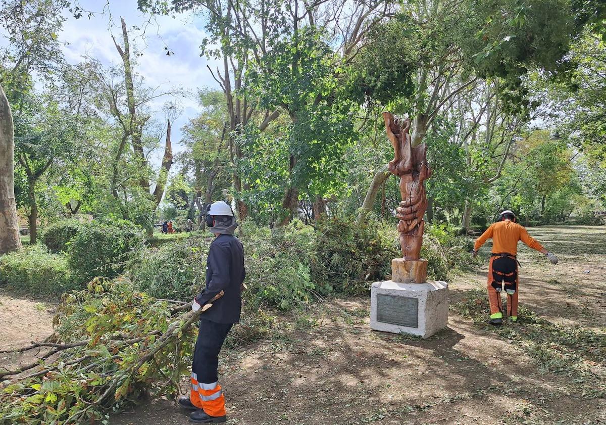 Imagen principal - Intervencios de los forestales, Protección Civil y los Bomberos. 