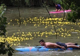 Los patitos de goma toman el Carrión