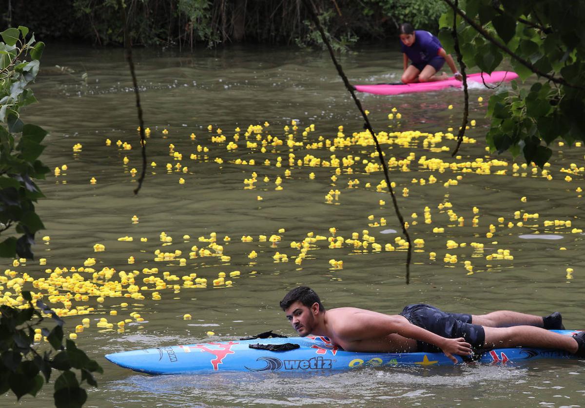 Los patitos de goma toman el Carrión