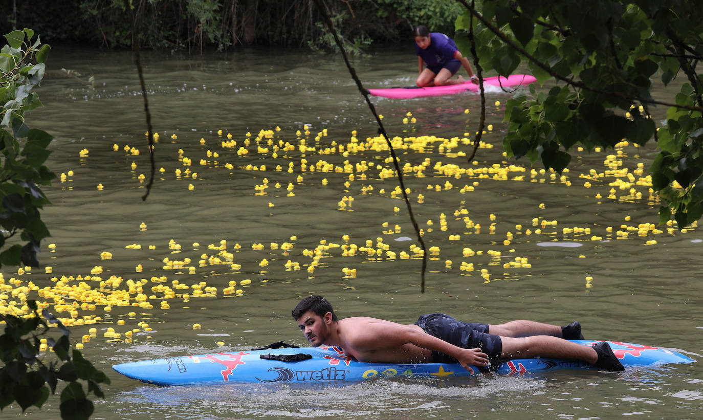 Los patitos de goma toman el Carrión