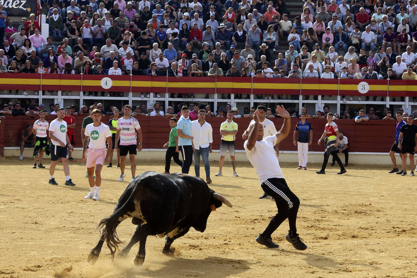 Primer encierro tradicional en las fiestas de Medina del Campo 2024