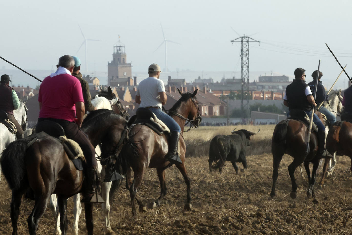 Primer encierro tradicional en las fiestas de Medina del Campo 2024
