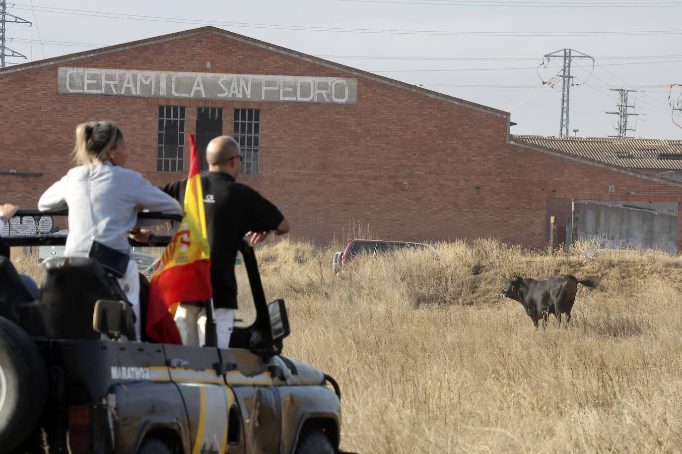 Primer encierro tradicional en las fiestas de Medina del Campo 2024