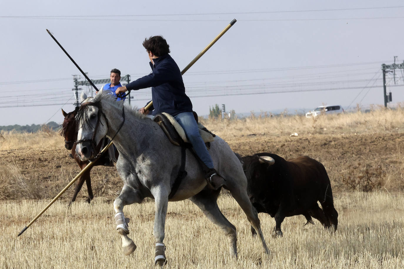 Primer encierro tradicional en las fiestas de Medina del Campo 2024