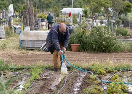 Huerto urbano.