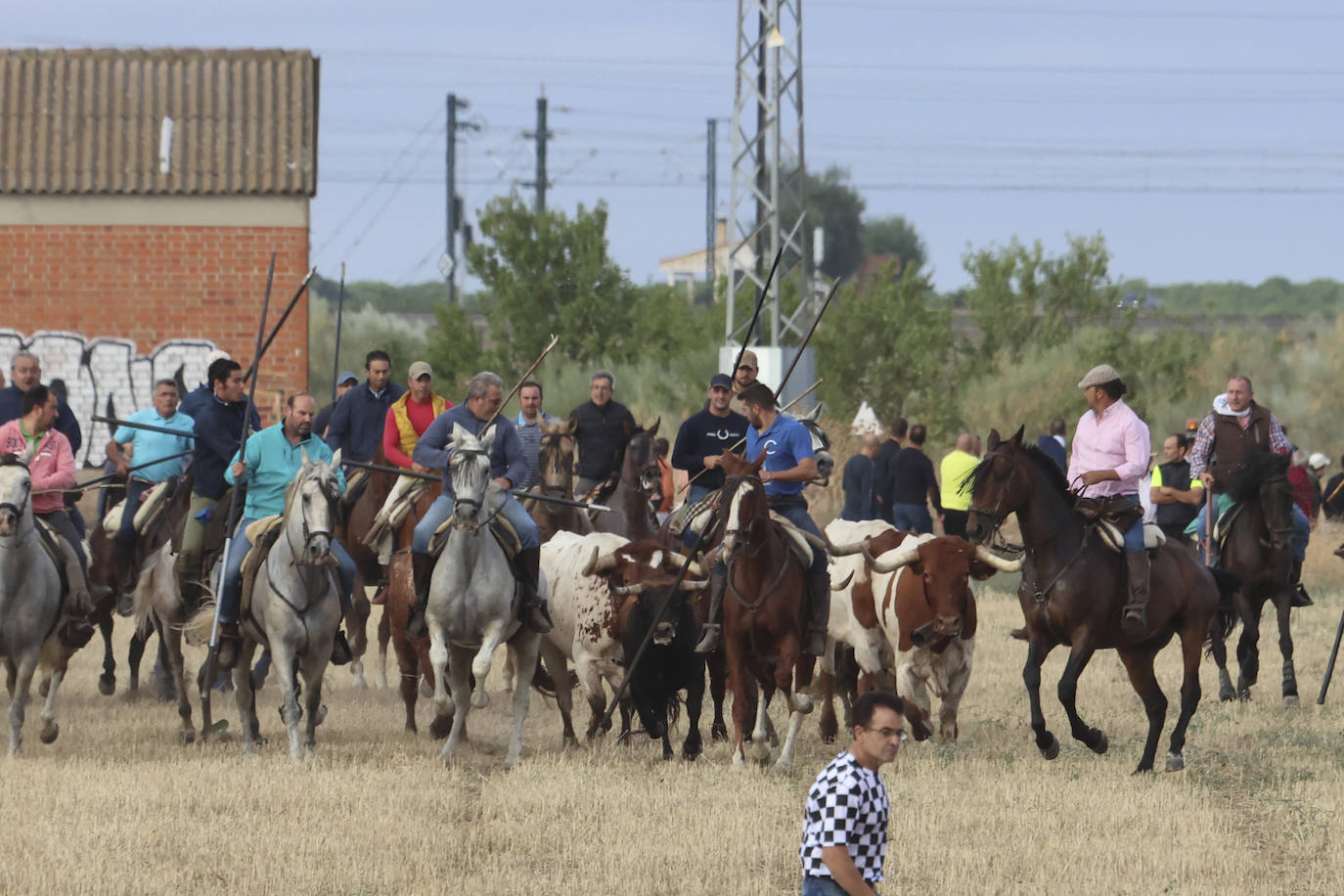 Imágenes del cuarto encierro de Medina del Campo