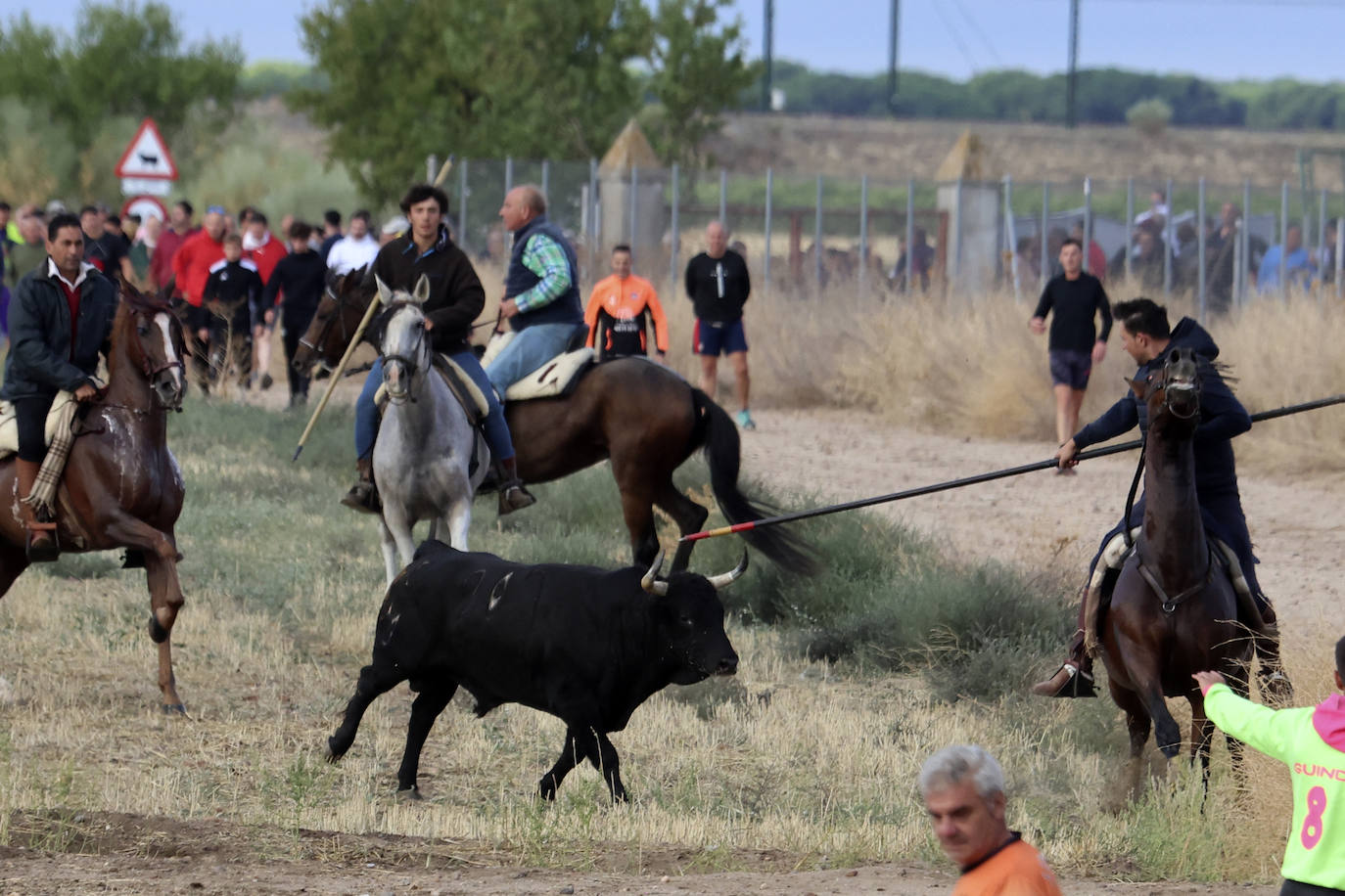 Imágenes del cuarto encierro de Medina del Campo