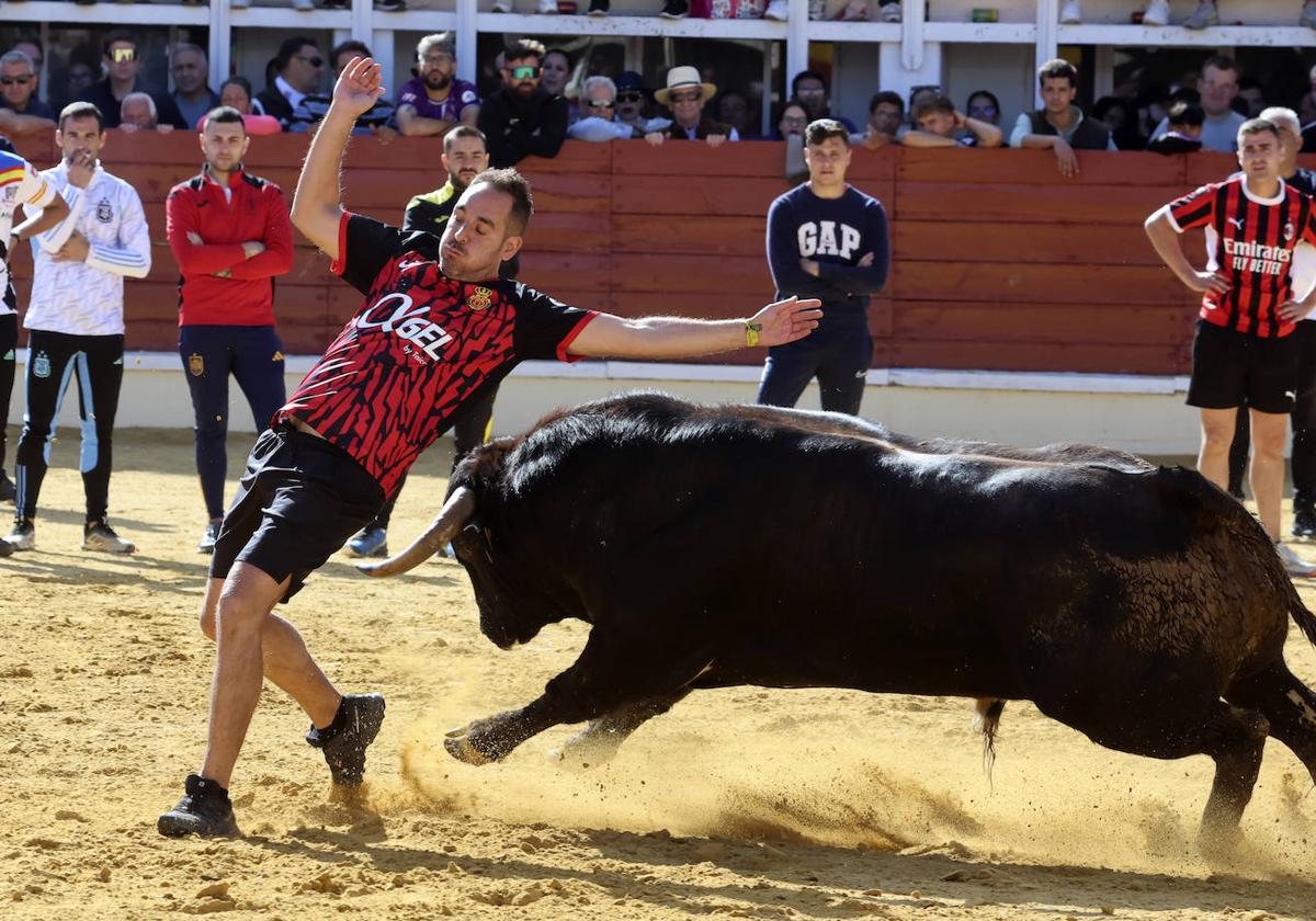 Cortes en el encierro de Medina del Campo