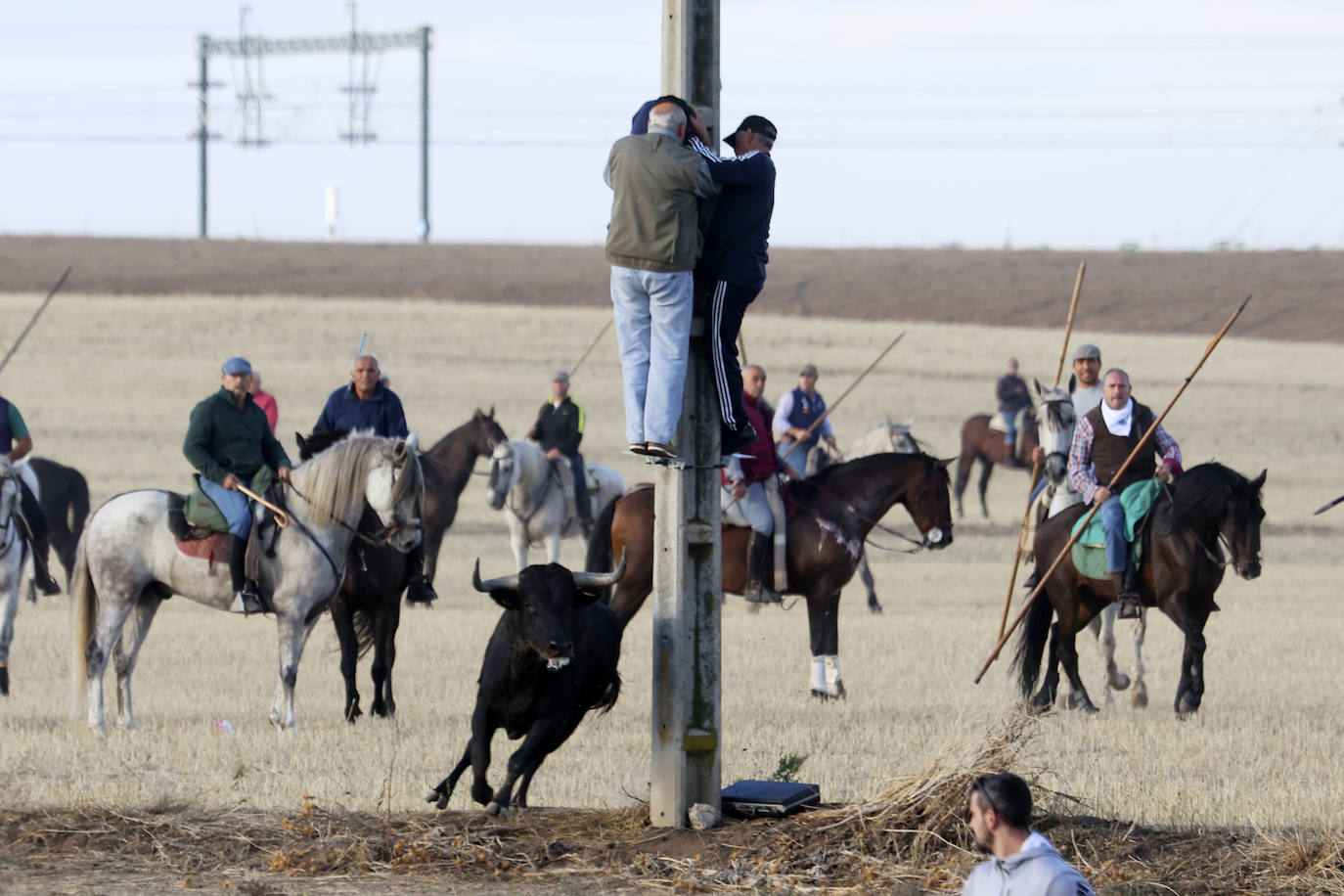 El tercer encierro de Medina del Campo en imágenes