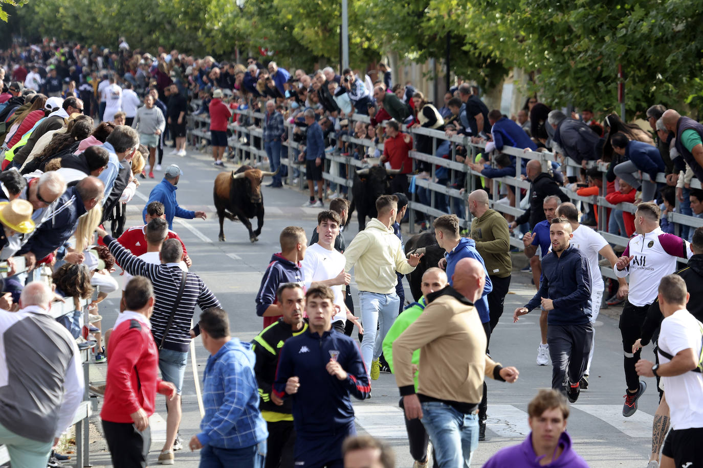 El tercer encierro de Medina del Campo en imágenes