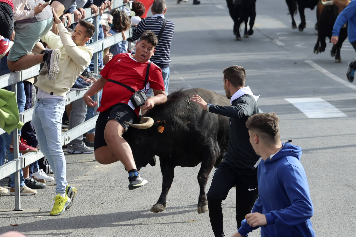 El tercer encierro de Medina del Campo en imágenes