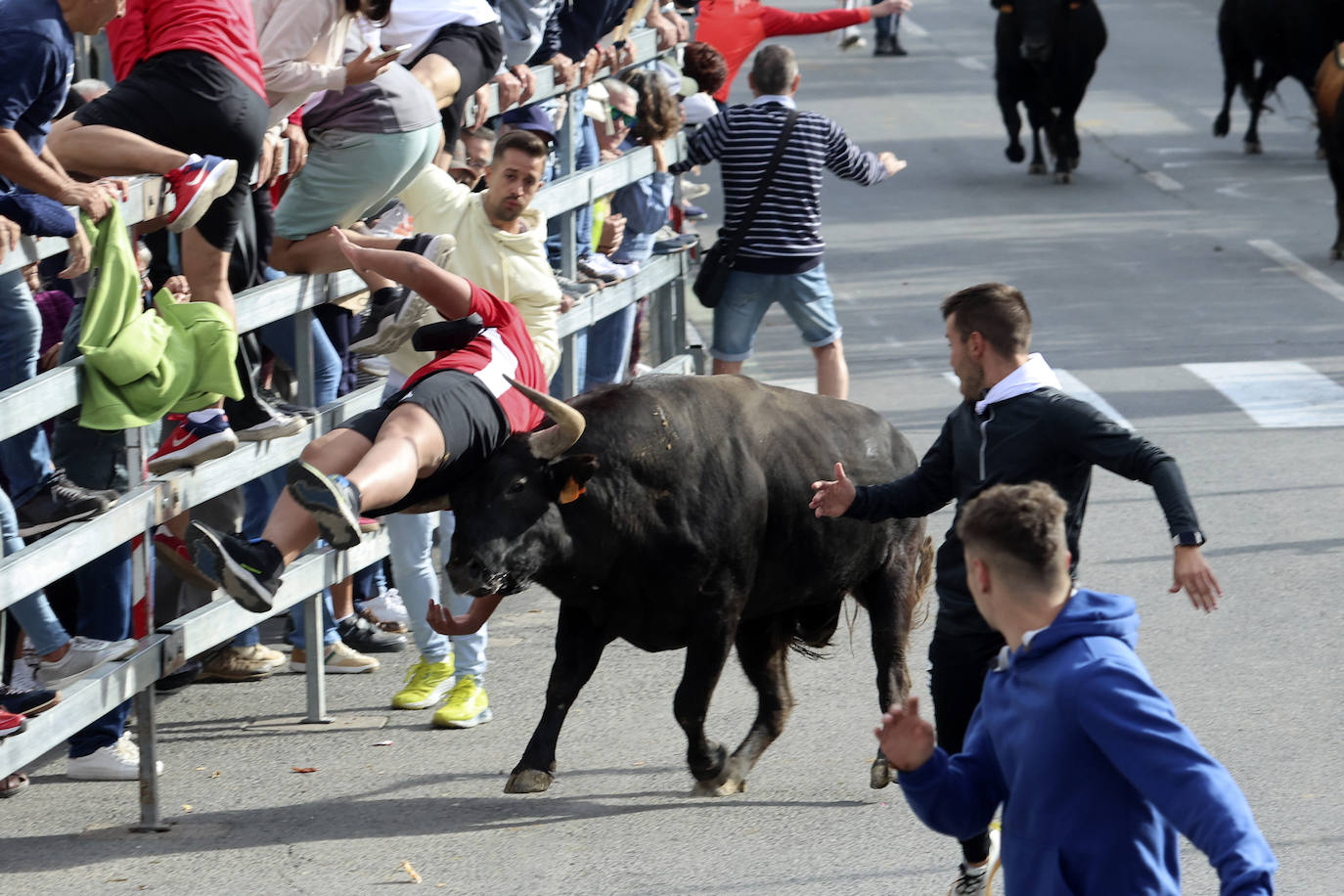 El tercer encierro de Medina del Campo en imágenes