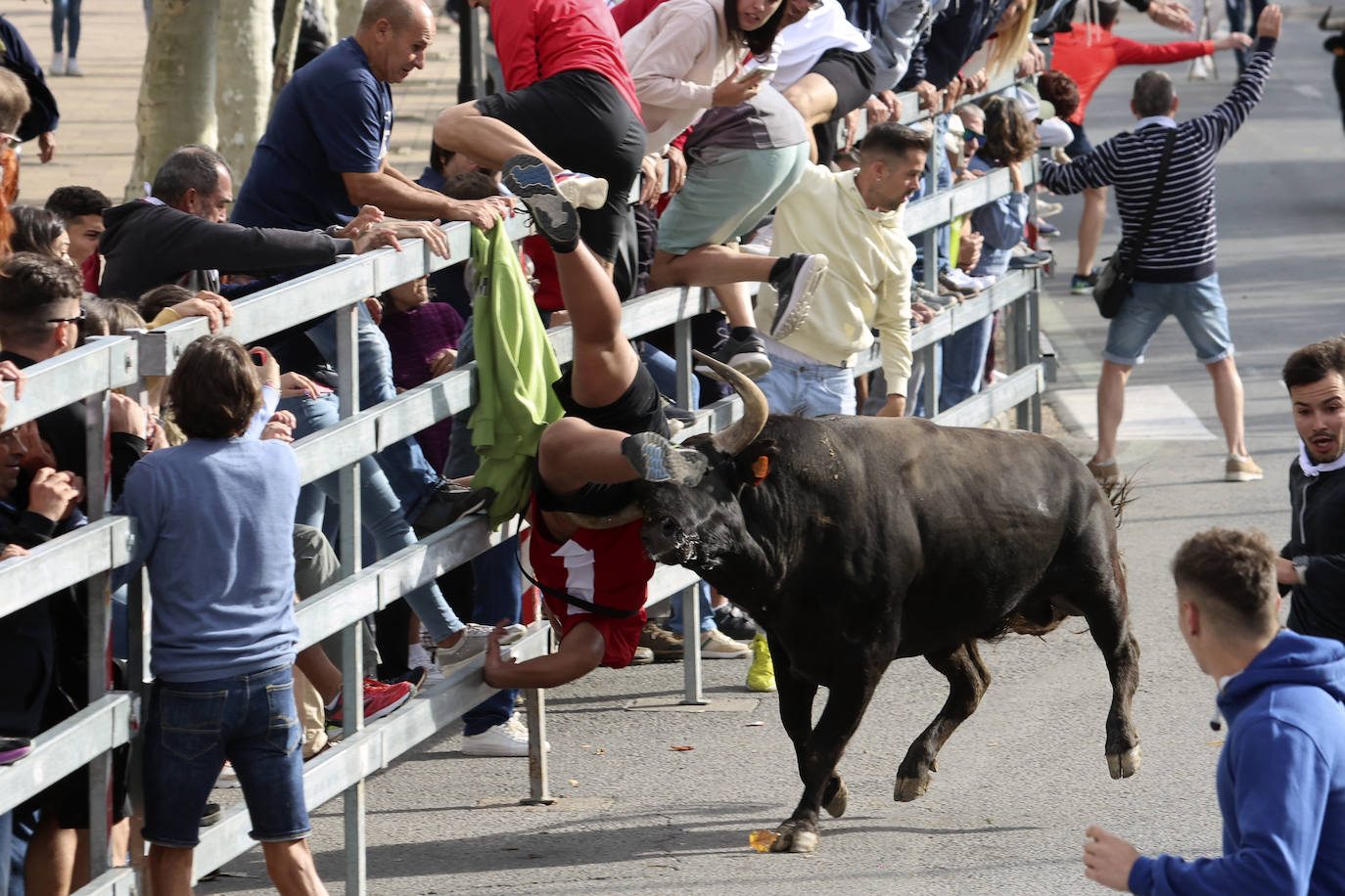 El tercer encierro de Medina del Campo en imágenes