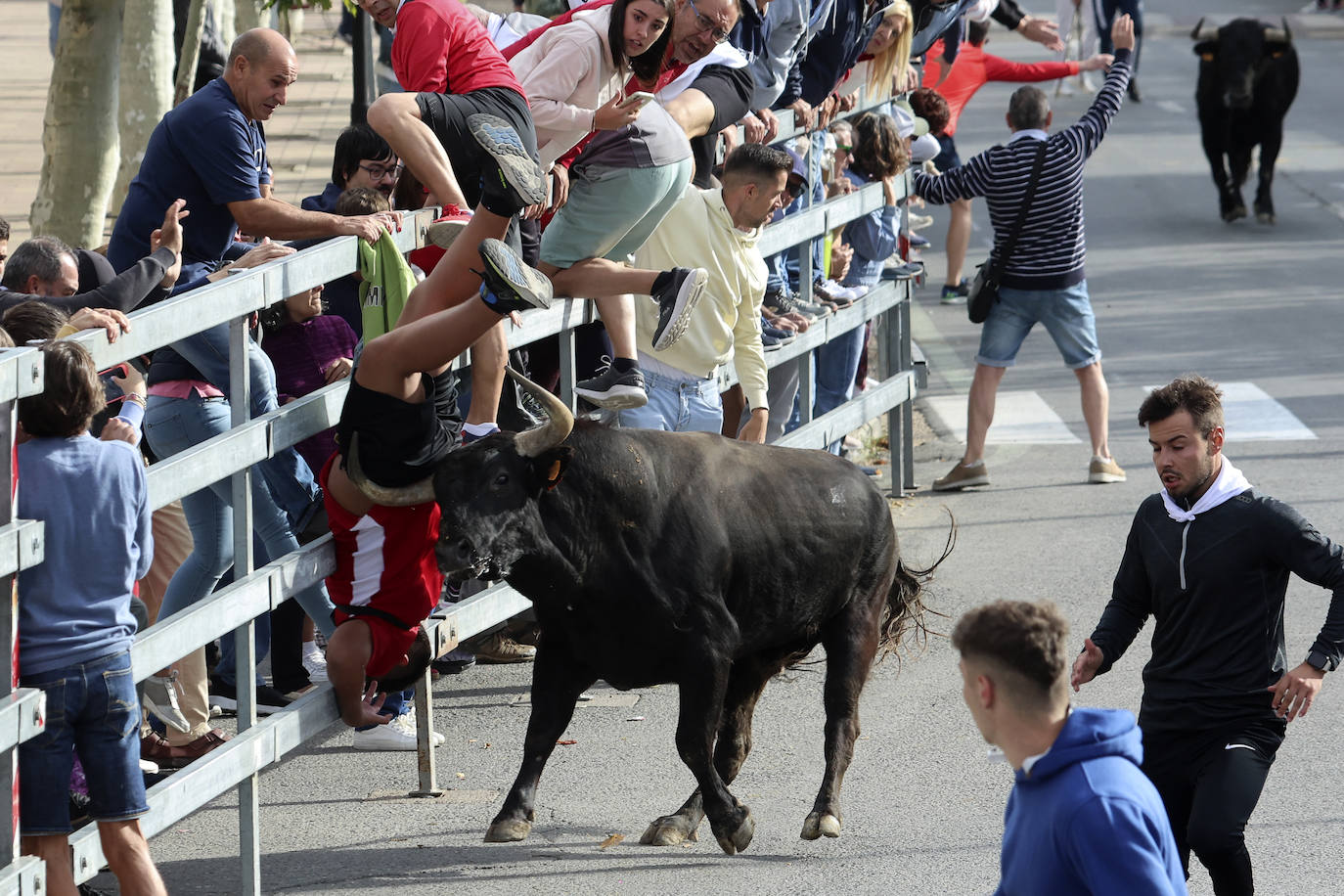 El tercer encierro de Medina del Campo en imágenes