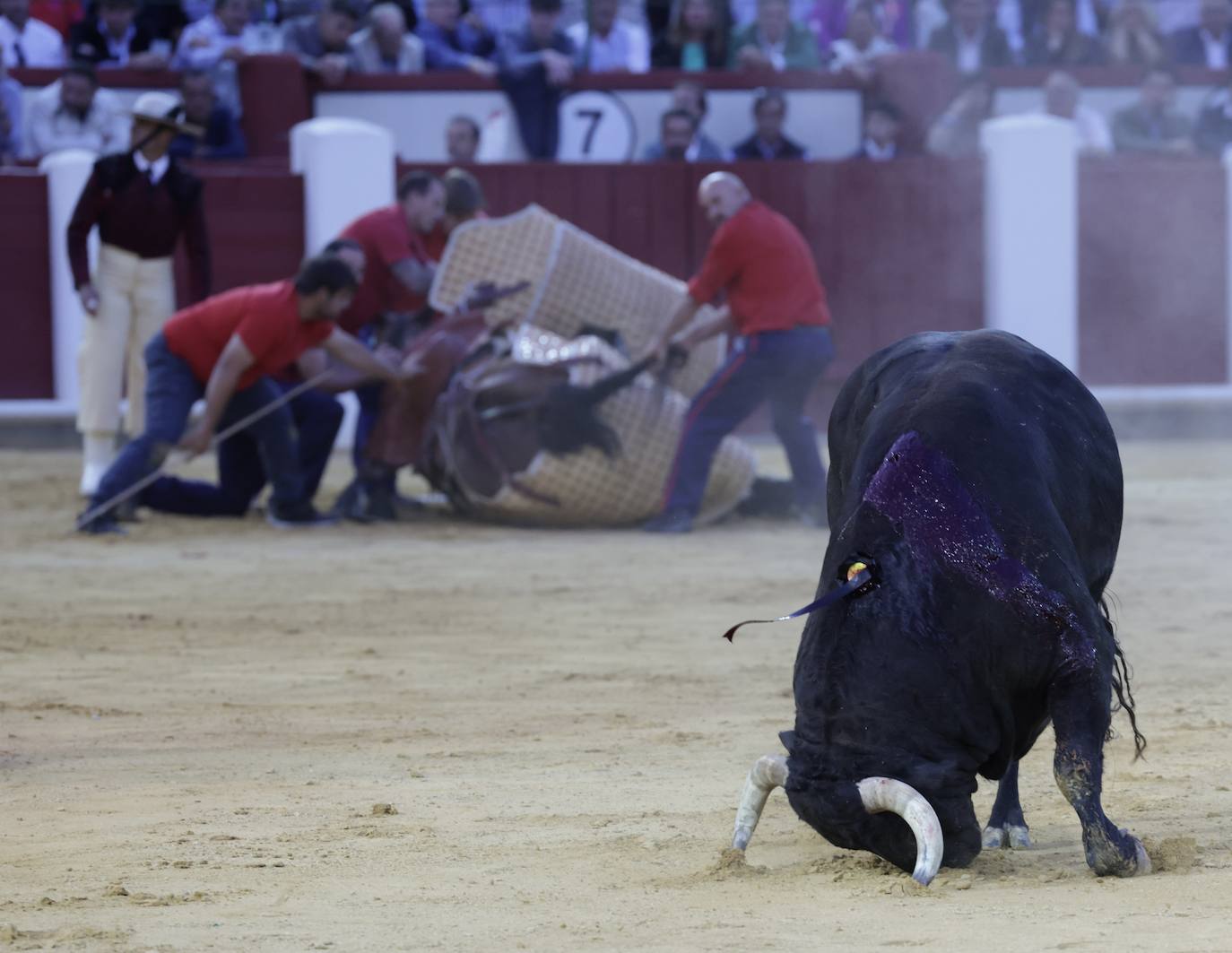 Talavante y Ponce salen por la puerta grande del coso del Paseo Zorrilla