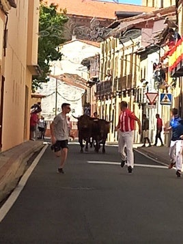 Encierro en Nava del Rey.