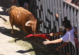 Uno de los toros bravos es citado desde la talanquera