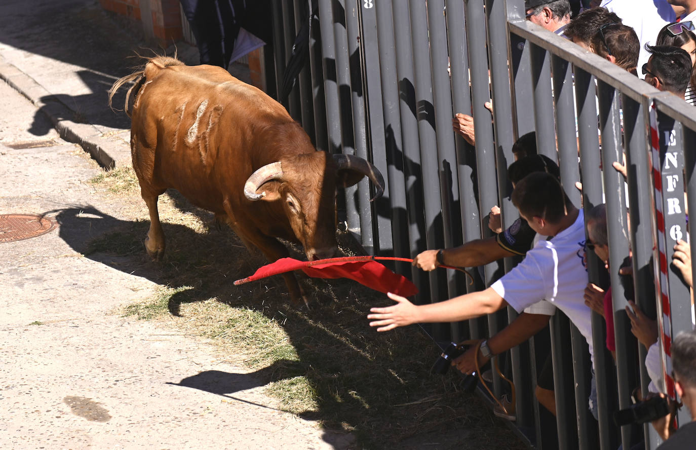 Las imágenes que deja el encierro de Portillo