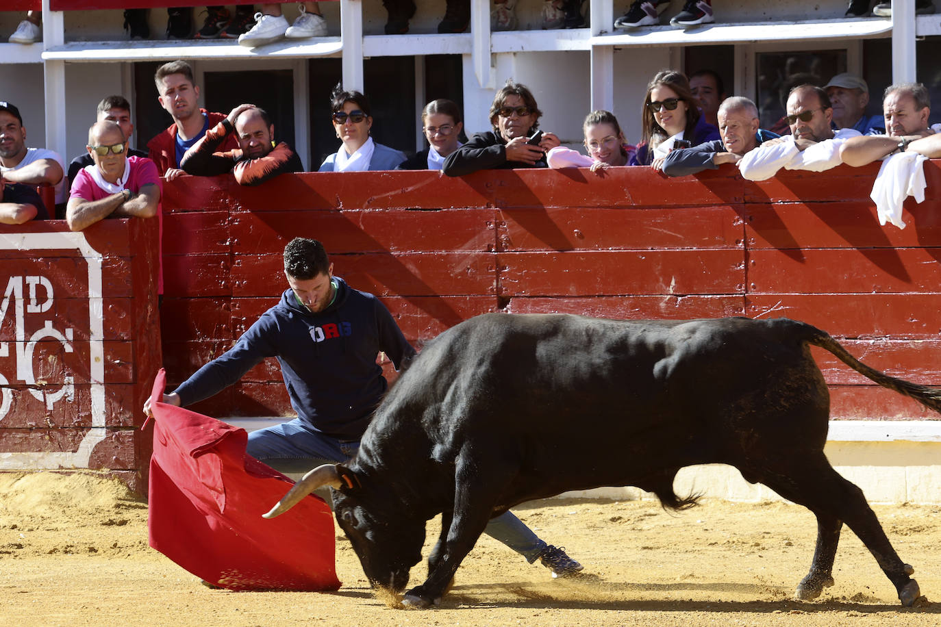 Medina del Campo se anima con otro encierro