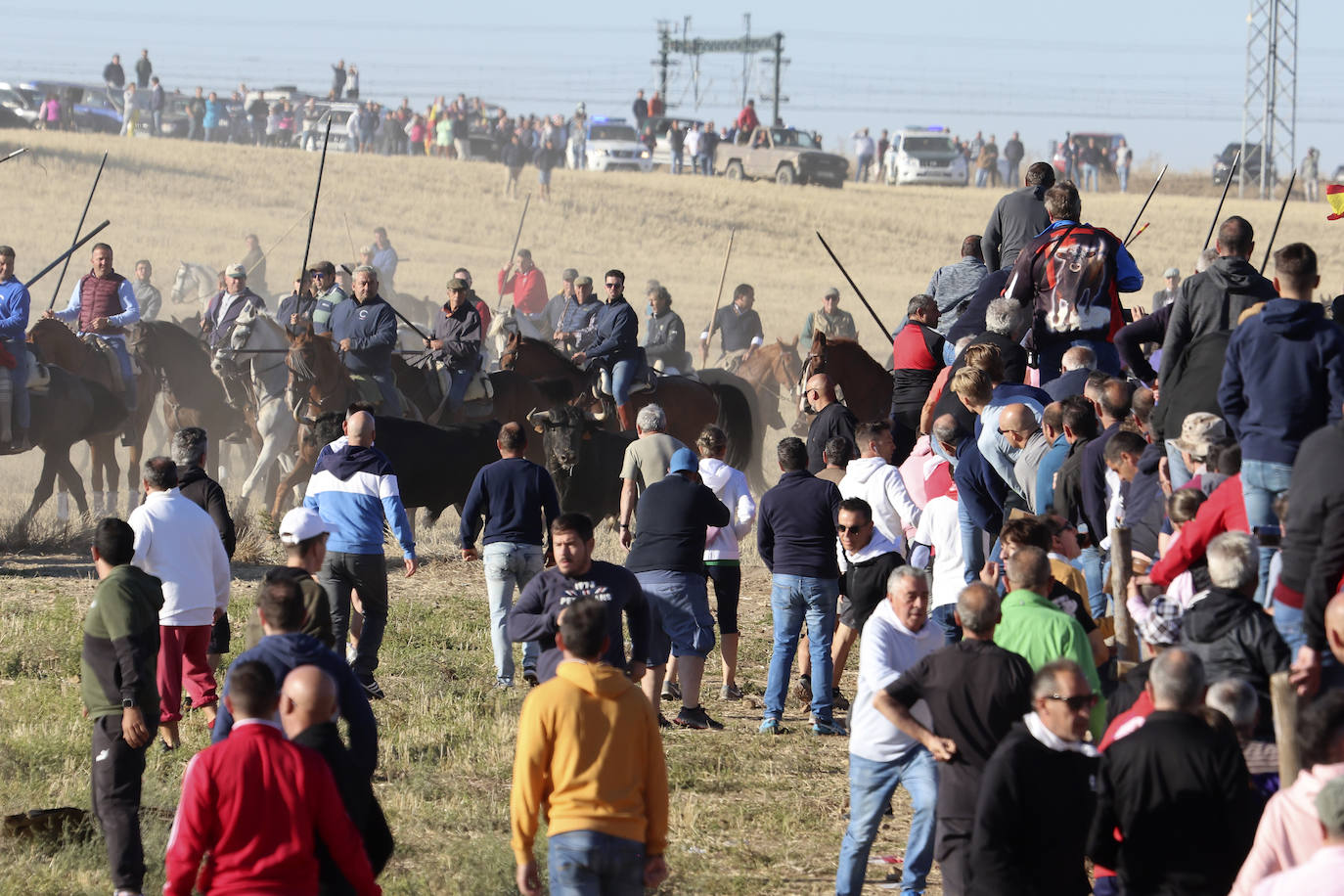 Encierro del domingo en Medina del Campo