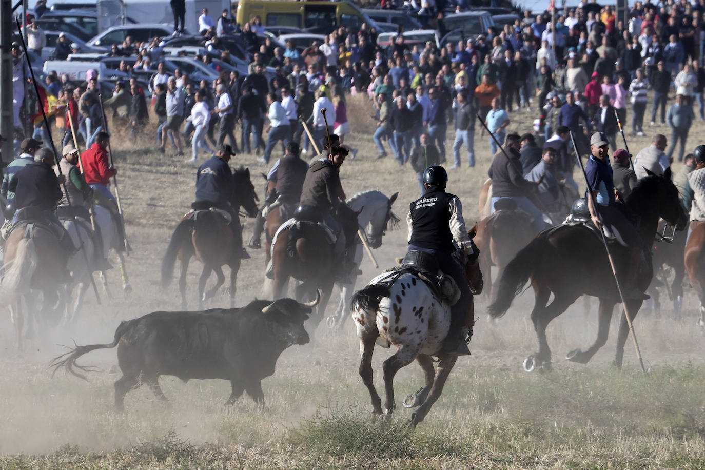 Encierro del domingo en Medina del Campo