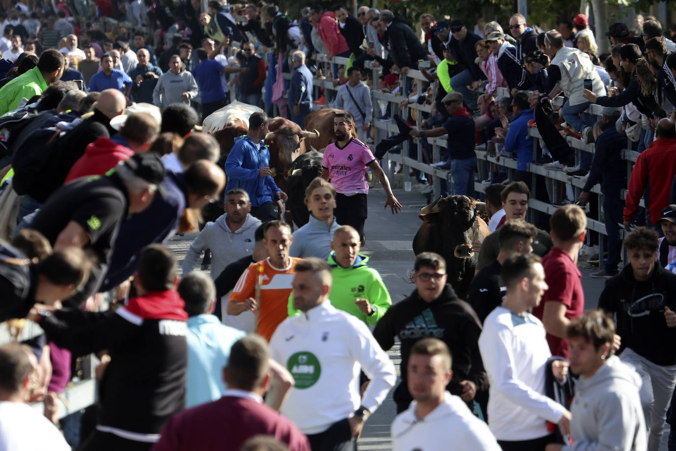 Encierro del domingo en Medina del Campo