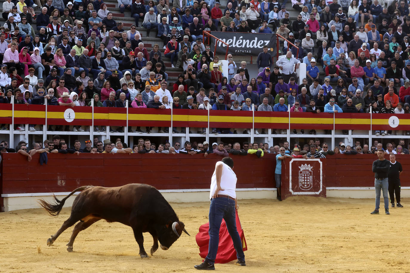 Encierro del domingo en Medina del Campo