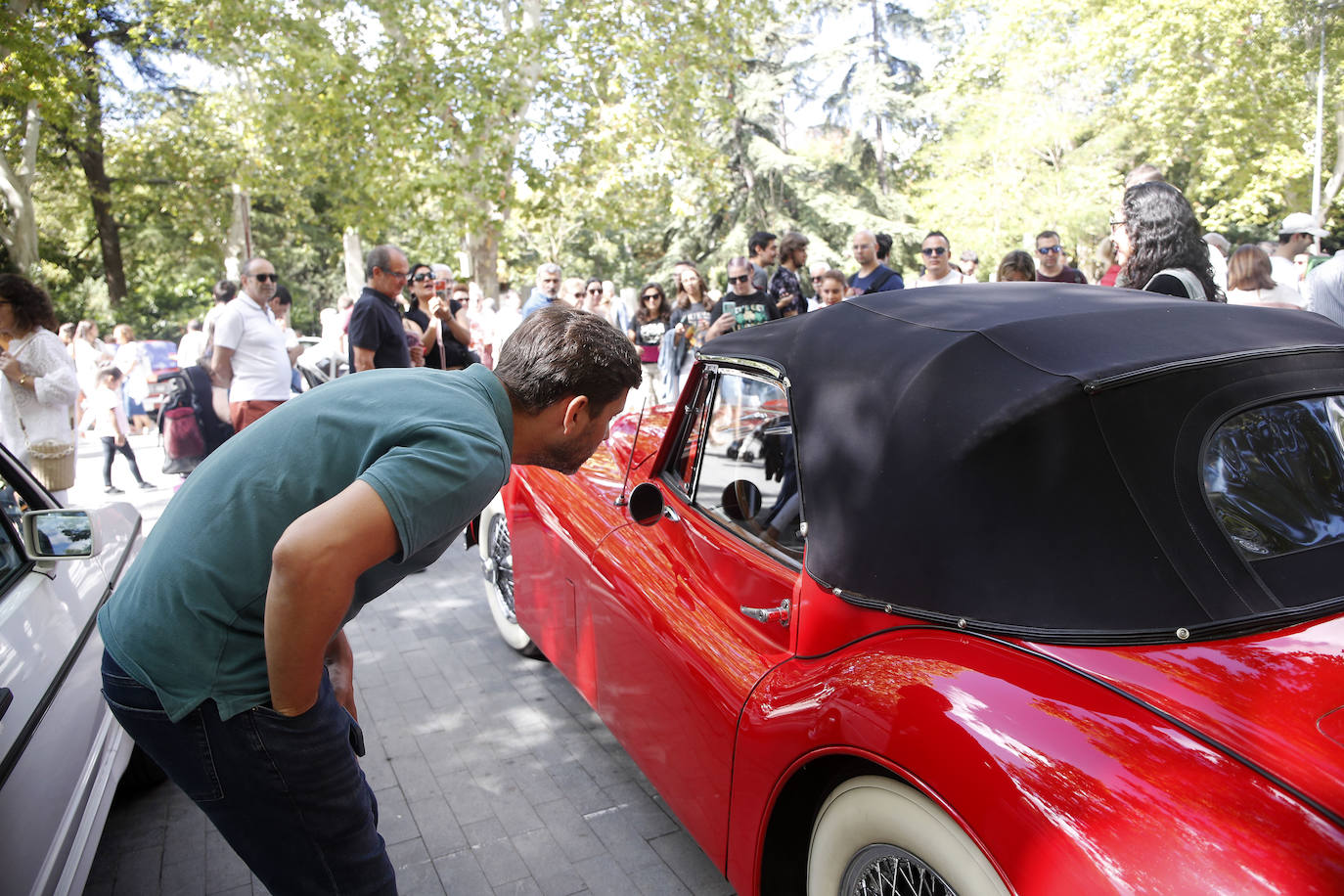 Los coches clásicos inundan la Acera de Recoletos de Valladolid