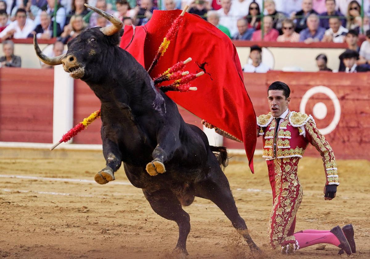 Alejandro Talavante, trofeo San Pedro Regalado a la mejor faena de la feria