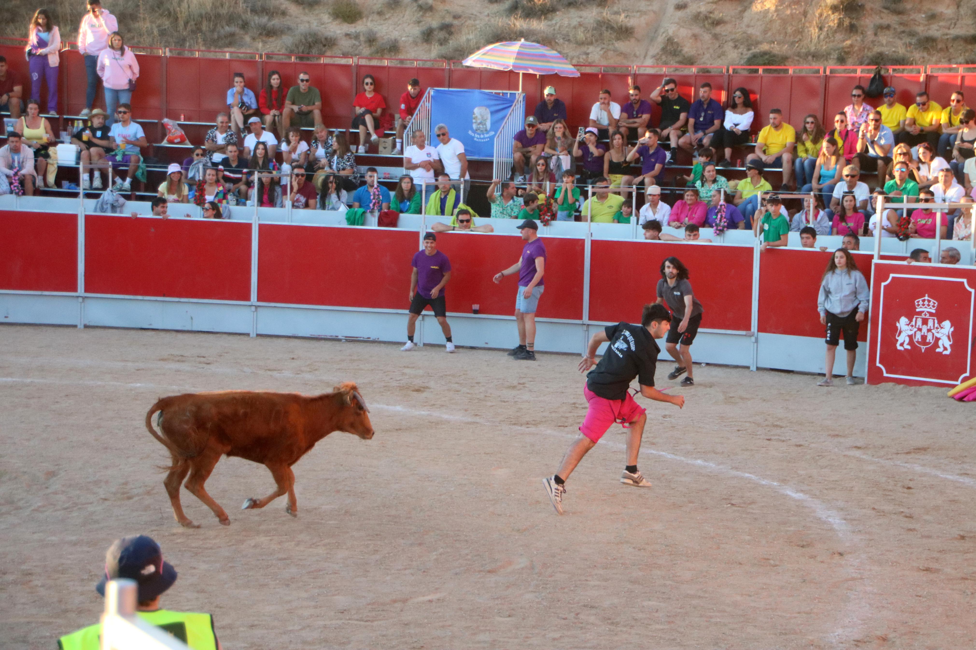 Baltanás celebró tres Festejos Taurinos