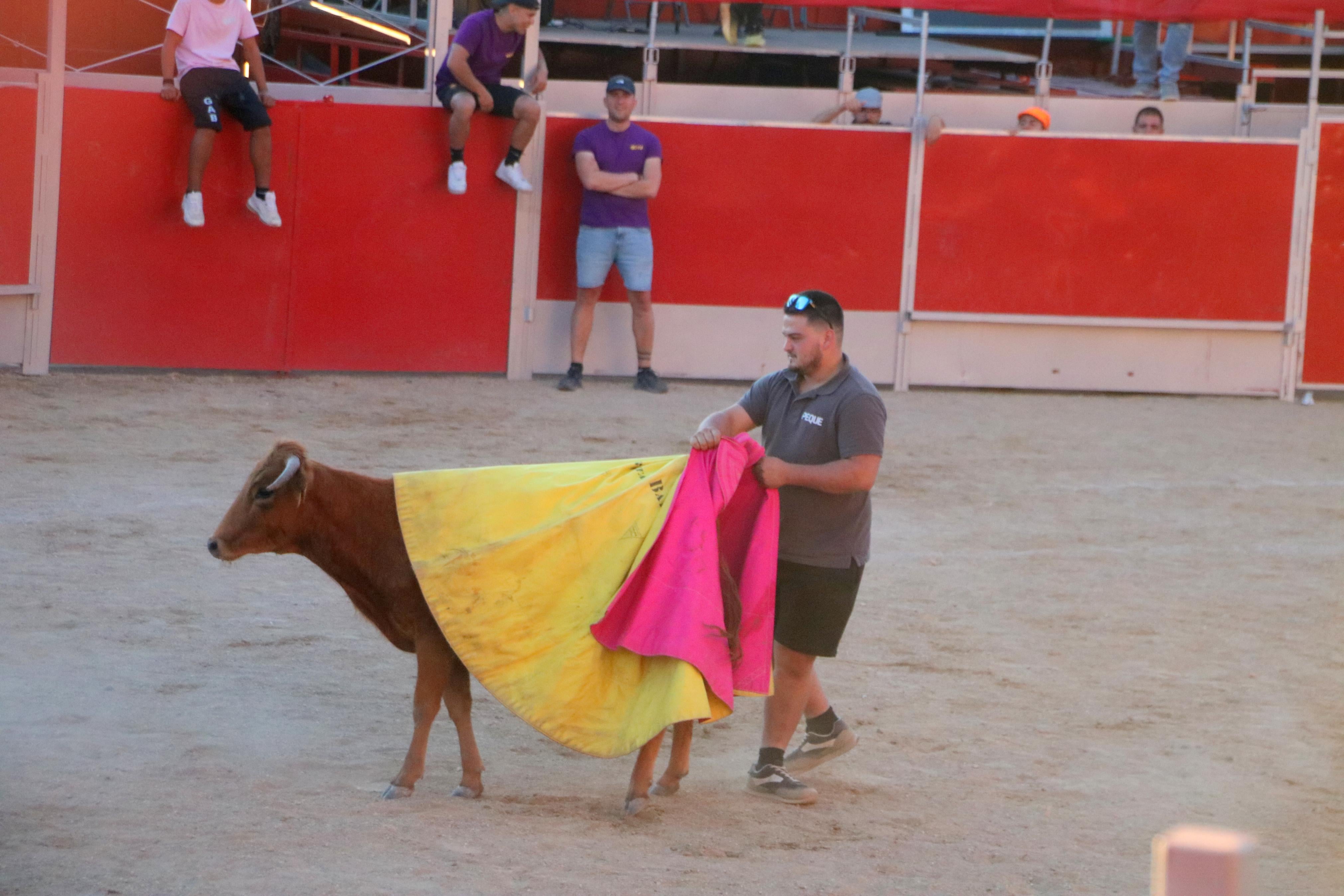 Baltanás celebró tres Festejos Taurinos