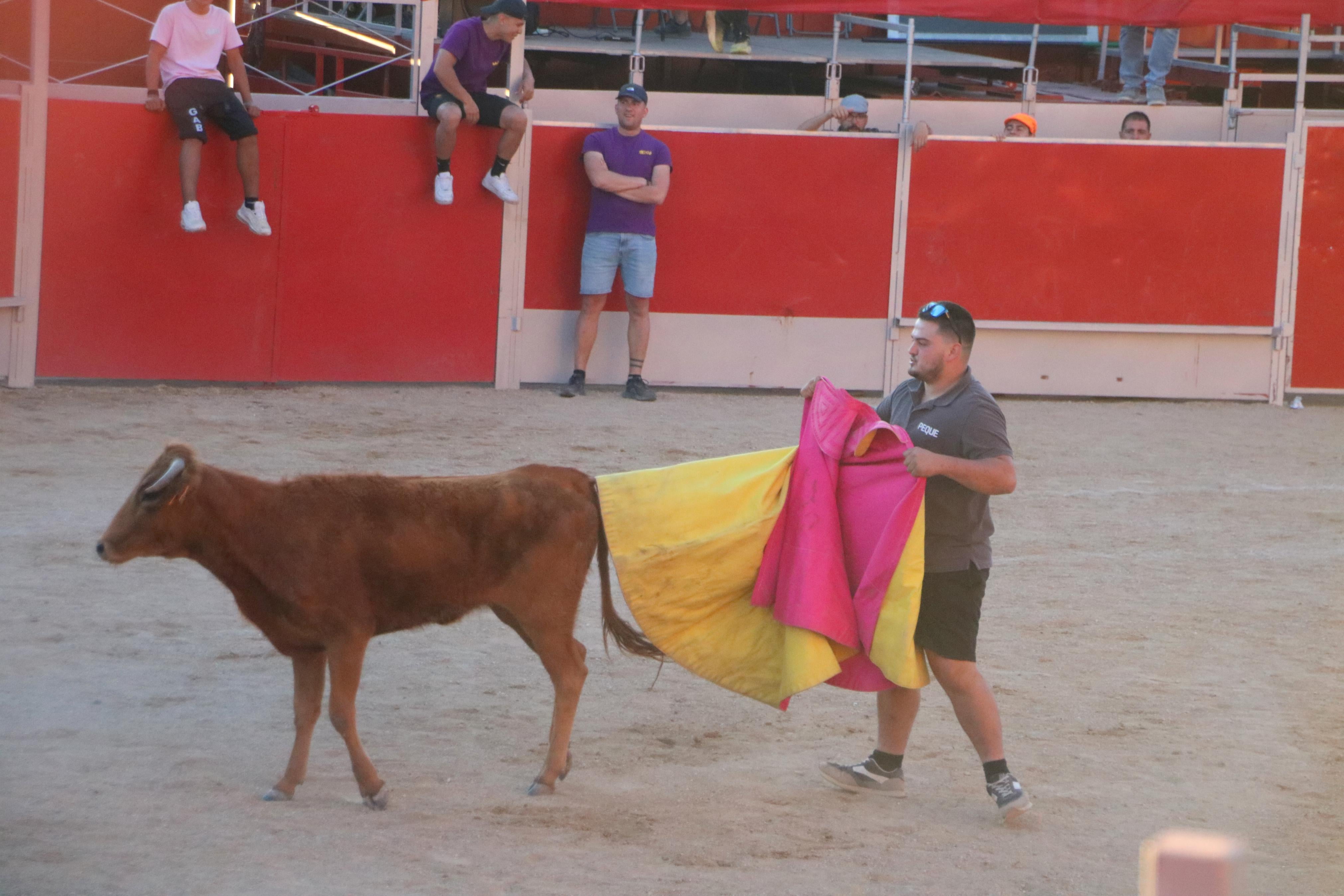 Baltanás celebró tres Festejos Taurinos