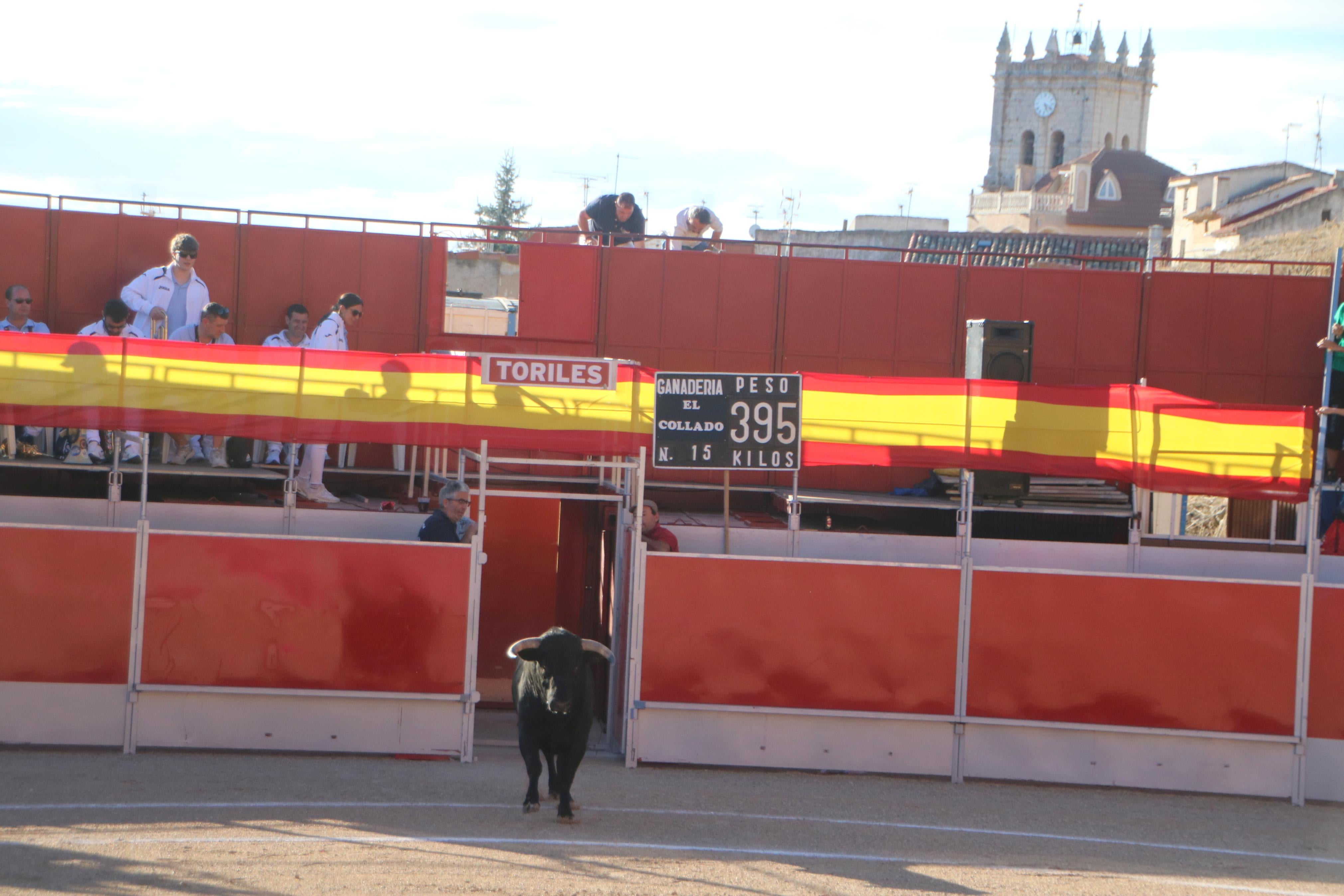 Baltanás celebró tres Festejos Taurinos