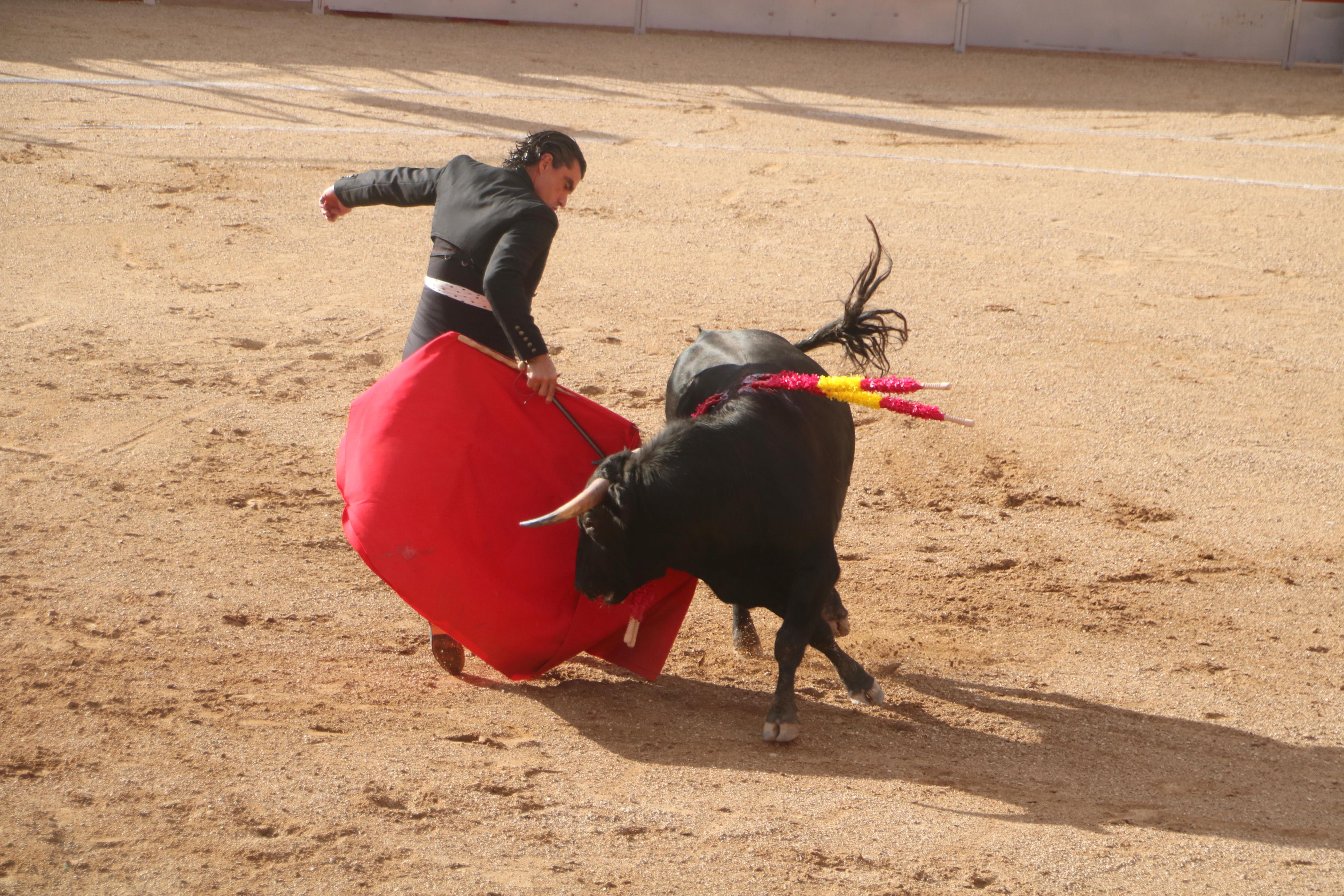 Baltanás celebró tres Festejos Taurinos