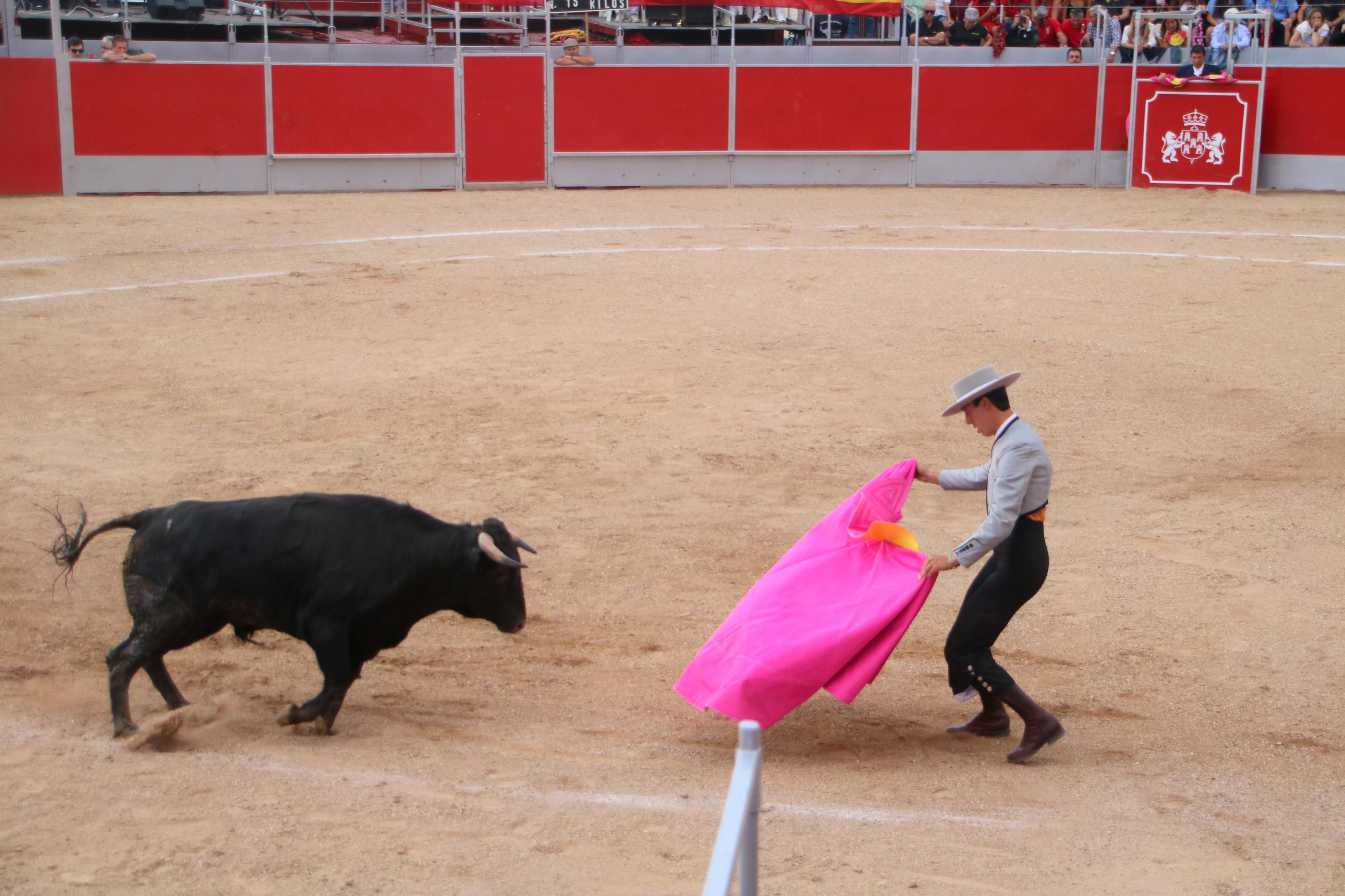 Baltanás celebró tres Festejos Taurinos