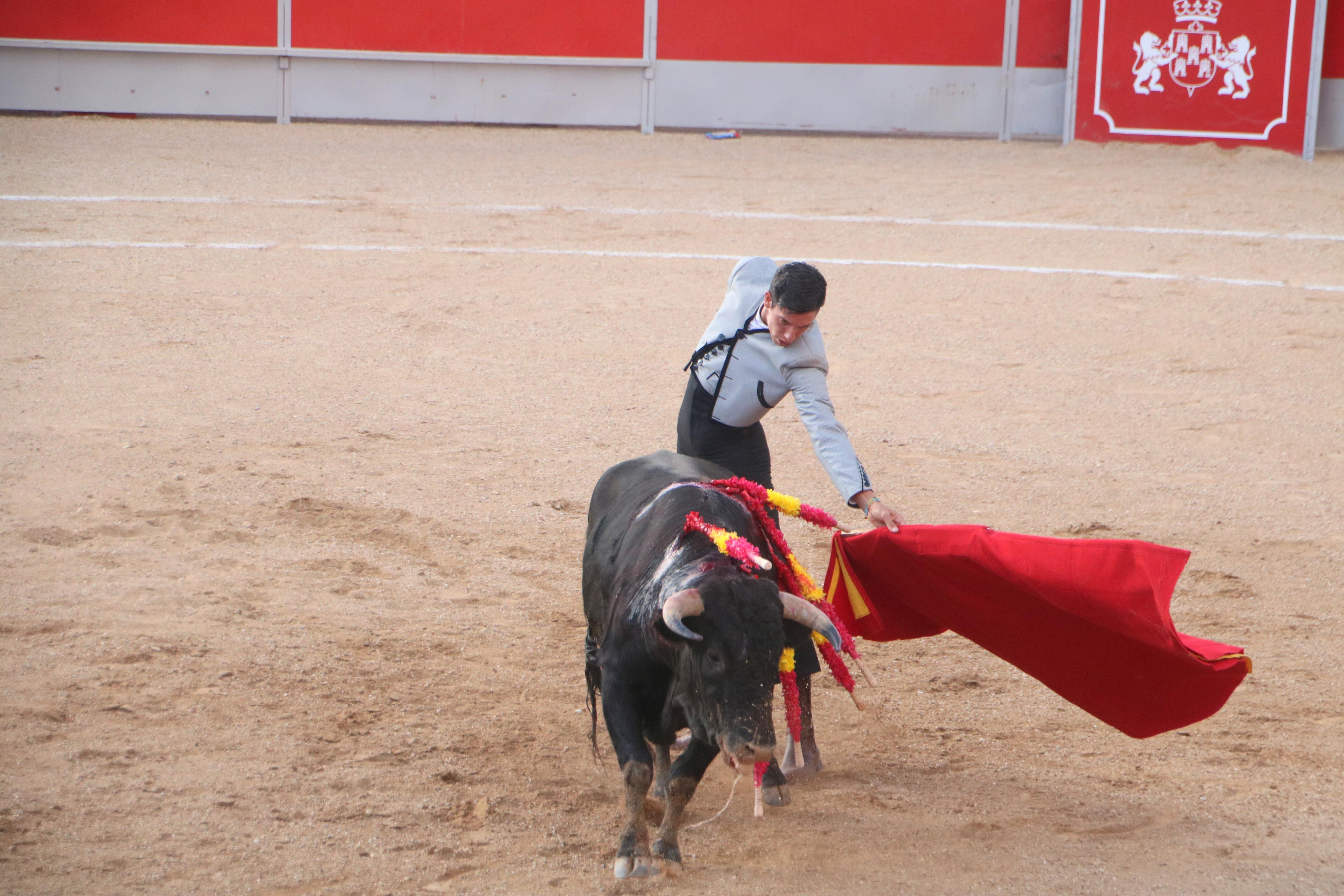 Baltanás celebró tres Festejos Taurinos