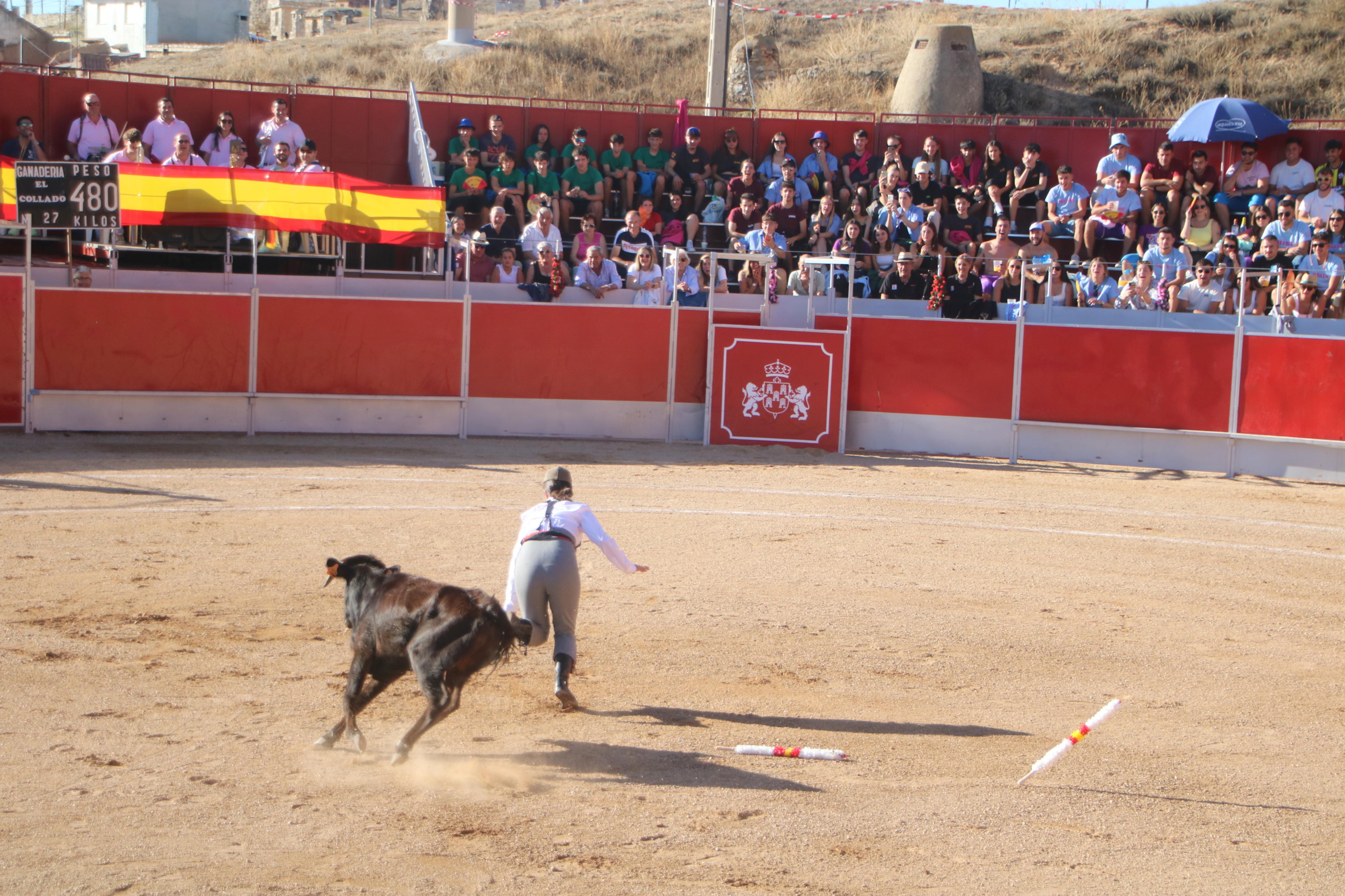 Baltanás celebró tres Festejos Taurinos