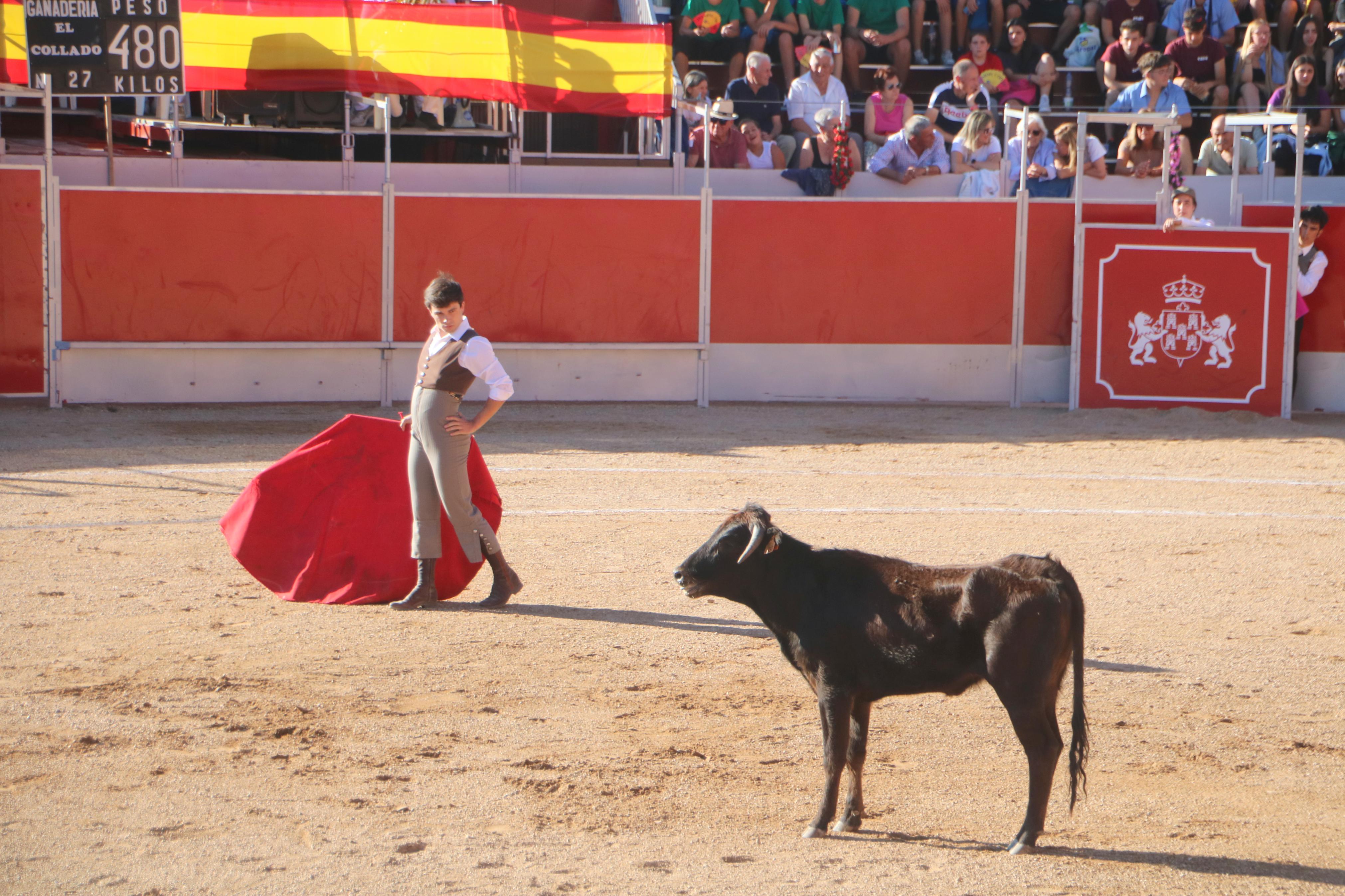 Baltanás celebró tres Festejos Taurinos