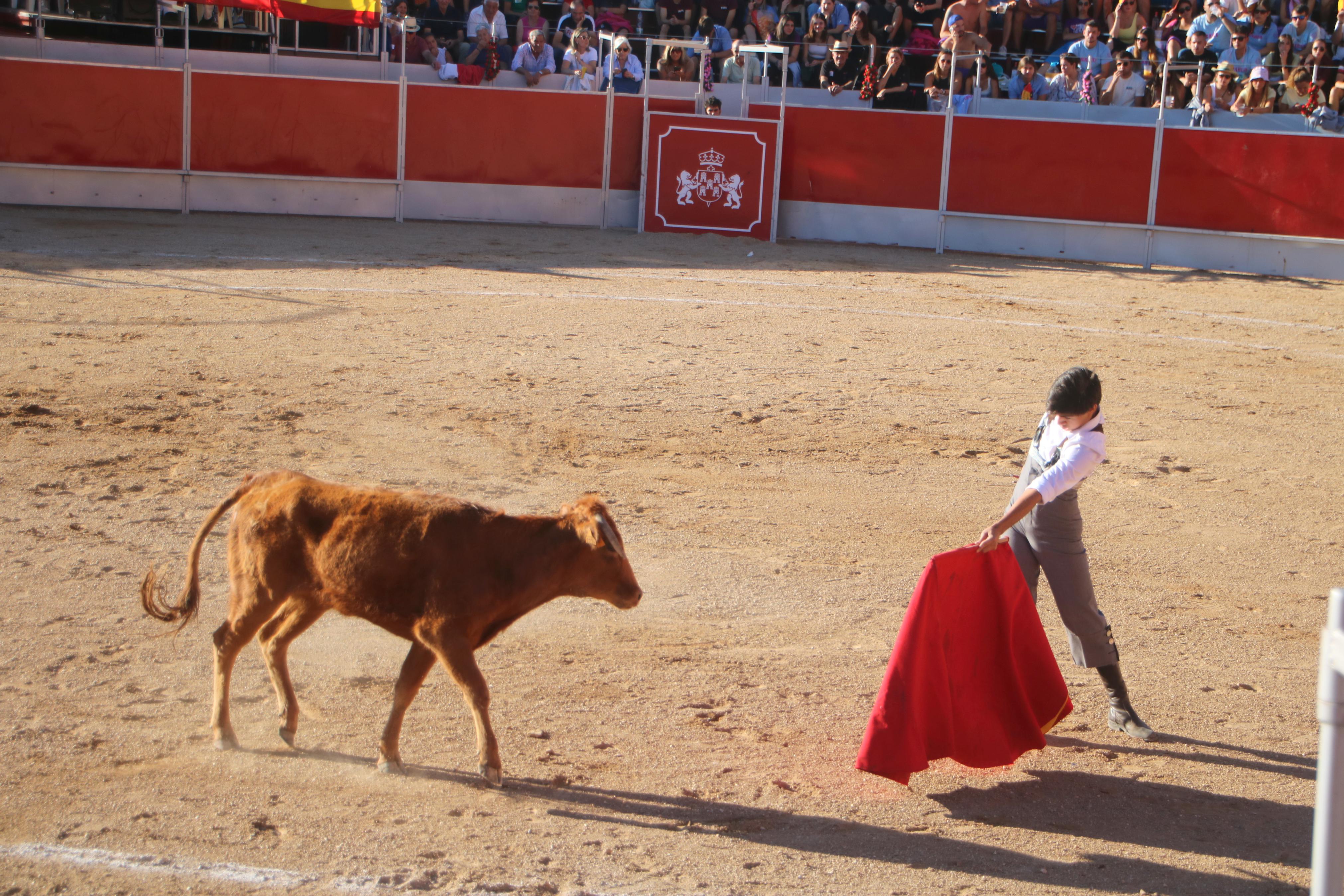 Baltanás celebró tres Festejos Taurinos