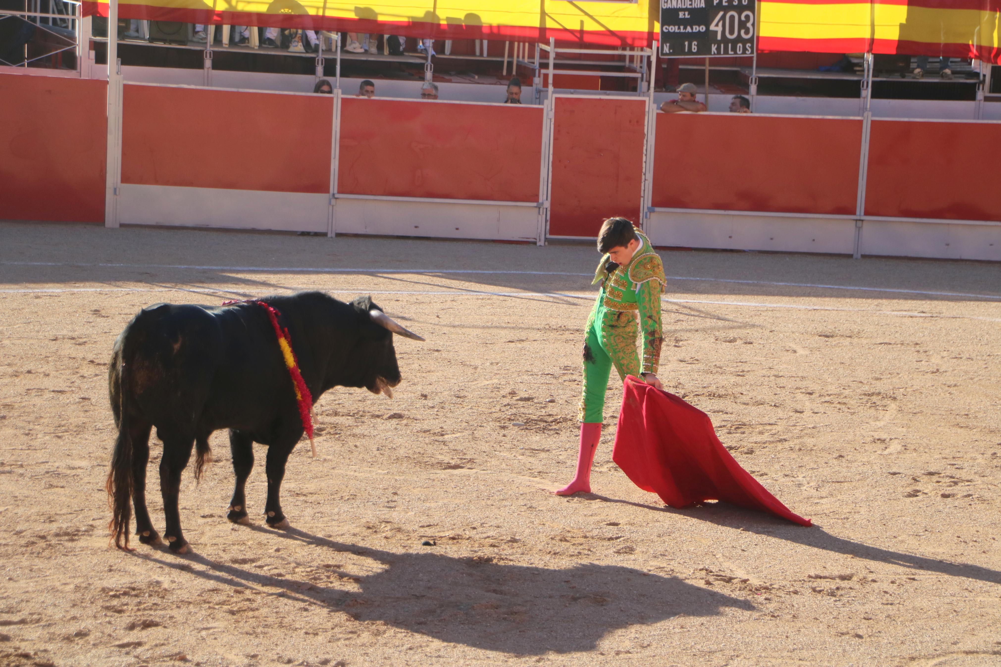 Baltanás celebró tres Festejos Taurinos