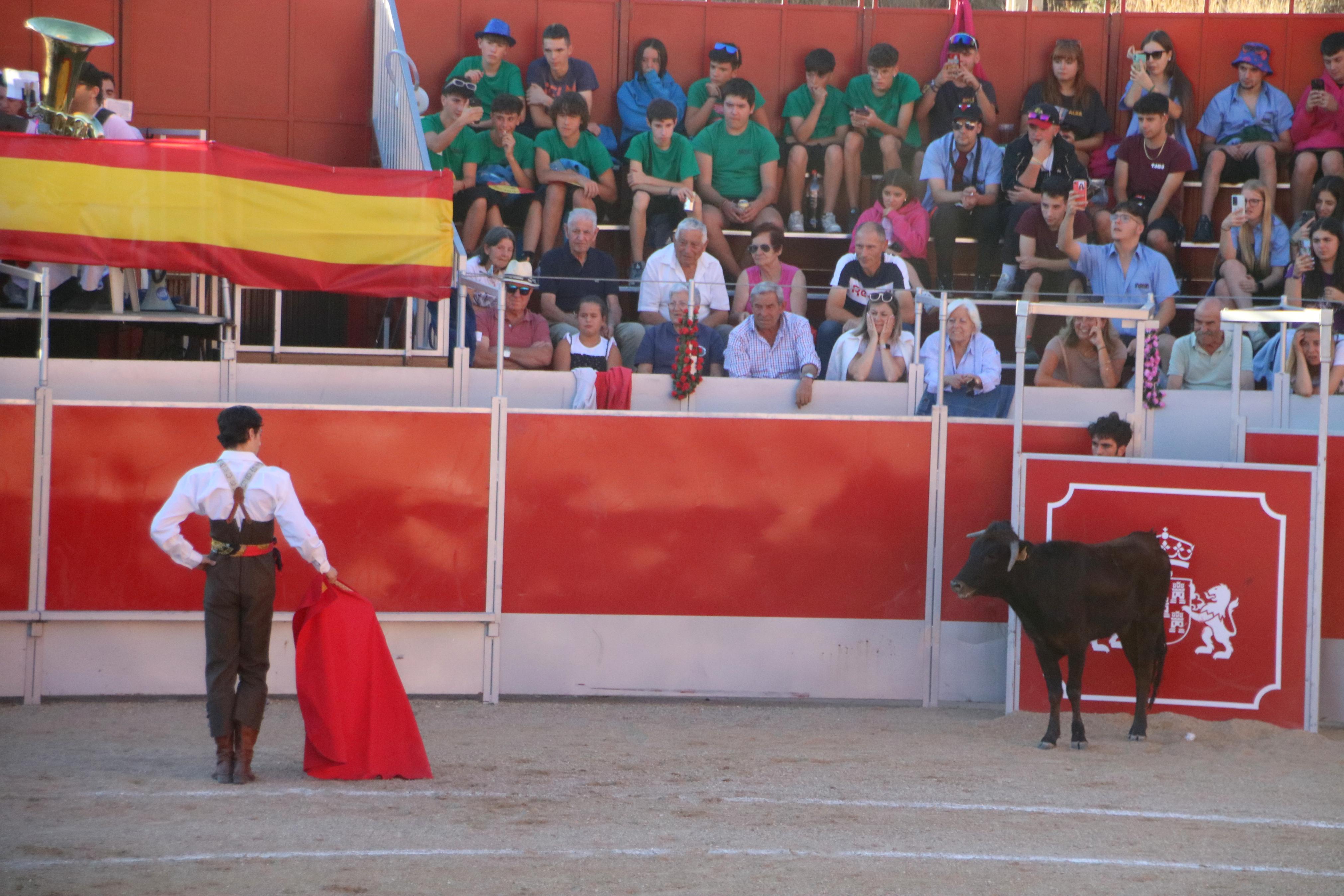 Baltanás celebró tres Festejos Taurinos